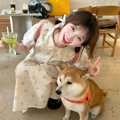 熄灭的日光